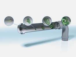 Biofilm build-up inside a pipe
